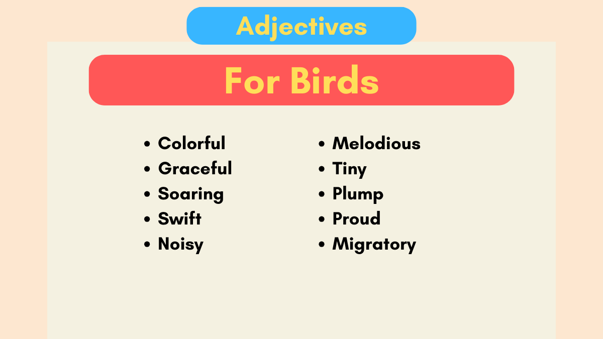 adjectives for birds