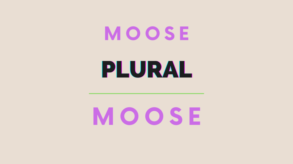 plural of moose