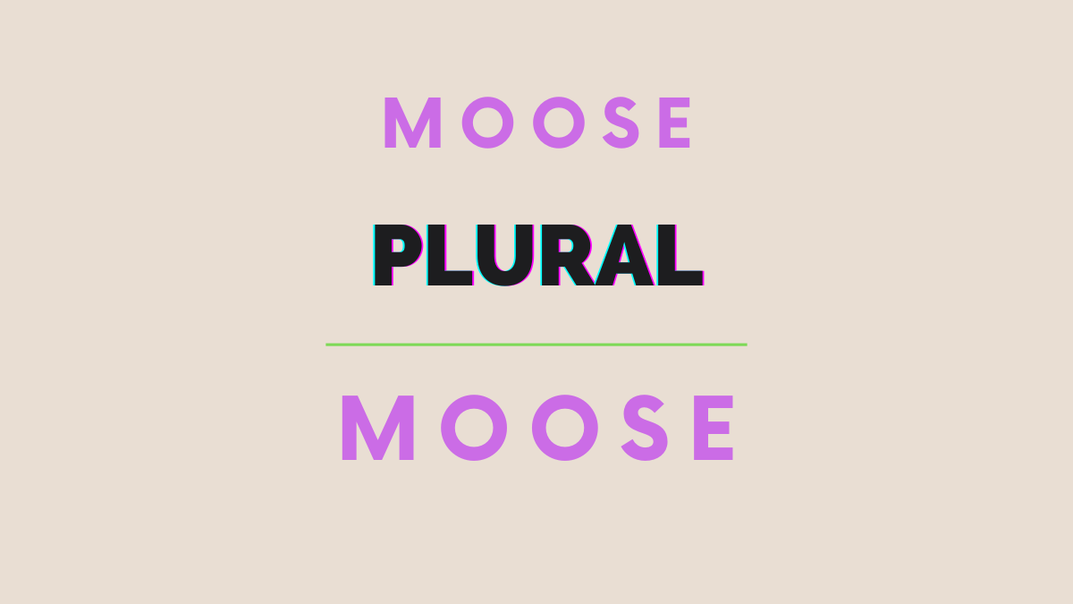 plural of moose