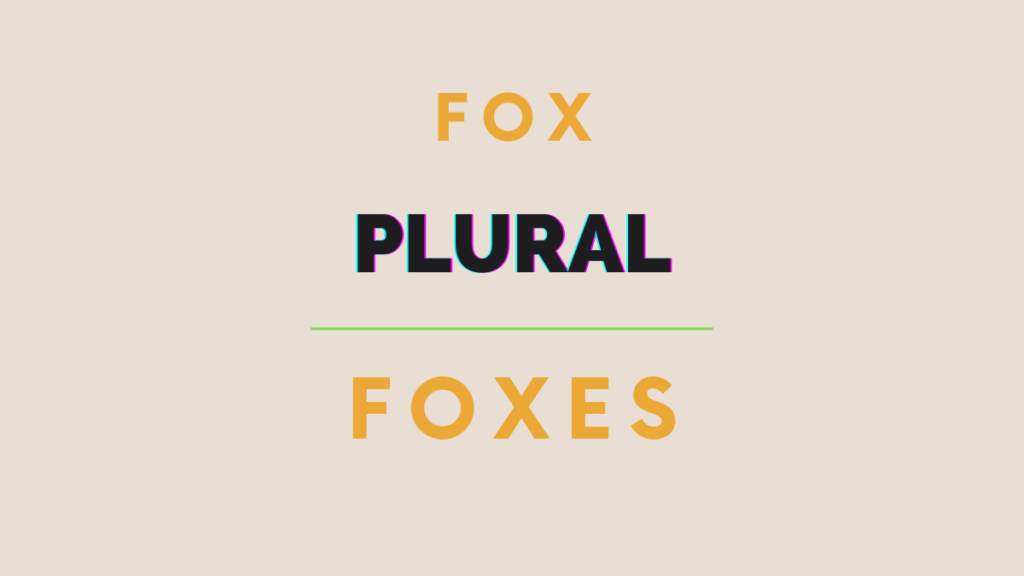 plural of fox