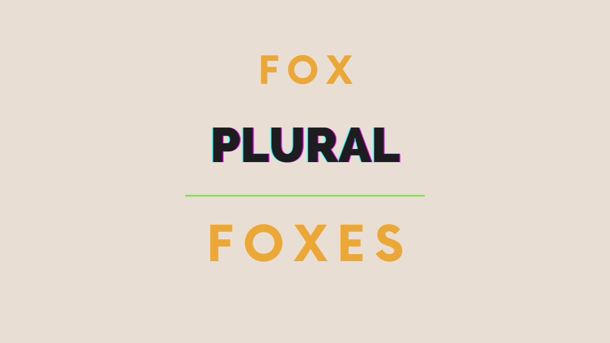 plural of fox